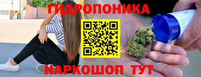 дмт Кимры