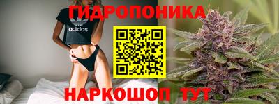 дмт Кимры