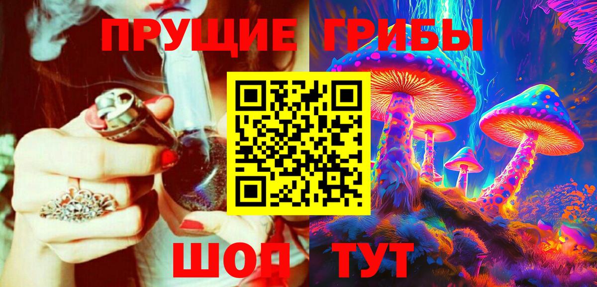 Галлюциногенные грибы Psilocybe  Клинцы 