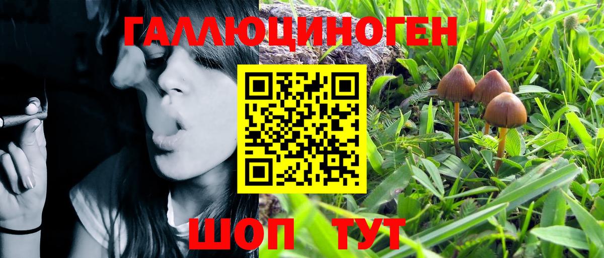 Галлюциногенные грибы Cubensis Клинцы