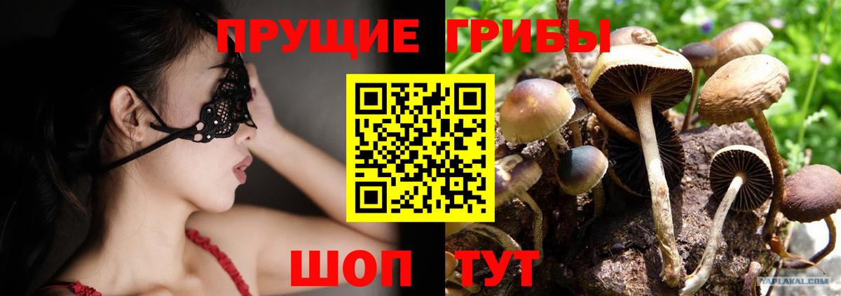 Галлюциногенные грибы MAGIC MUSHROOMS Клинцы