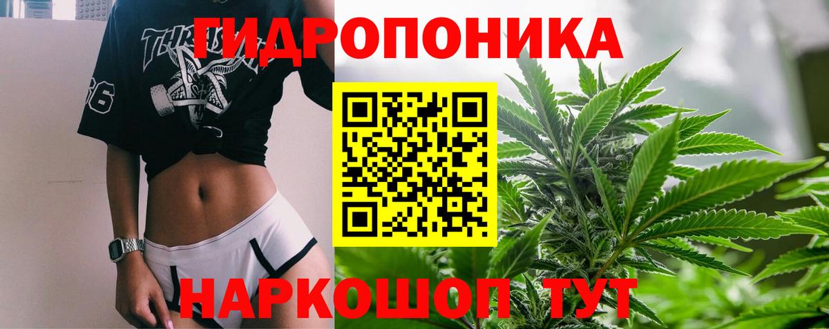 Бошки марихуана индика Клинцы